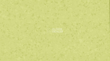 Линолеум Gerflor Mipolam Symbioz 6027 ACCACIA фото 1 | FLOORDEALER